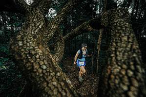 BIB: 
                            <button type="button" onclick="openModal(25692805)" class="btn btn-primary btn-sm float-right btn-popup" data-toggle="modal" data-target=".modal-high-quality">
                        <i class="fas fa-shopping-cart"></i> Add to Cart
                    </button>
                                            <button type="button" onclick="isThisMe(25692805, true)" class="btn btn-success btn-sm float-right btn-popup btn-isme hidden" data-toggle="tooltip" data-placement="bottom" title="นี่คือรูปของคุณใช่ไหม คลิกที่นี่เพื่อเอาเข้าอัลบั้ม">
                        <i class="fas fa-plus"></i> Add to album
                    </button>
                    <button type="button" onclick="isThisMe(25692805, false)" class="btn btn-warning btn-sm float-right btn-popup btn-isnotme hidden">
                        <i class="fas fa-ban"></i> Remove from album
                    </button>